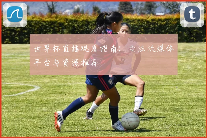 世界杯直播观看指南:合法流媒体平台与资源推荐
