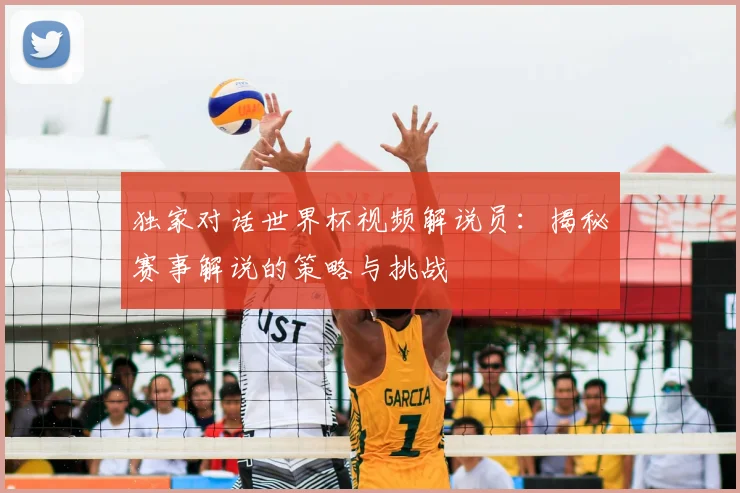 独家对话世界杯视频解说员：揭秘赛事解说的策略与挑战