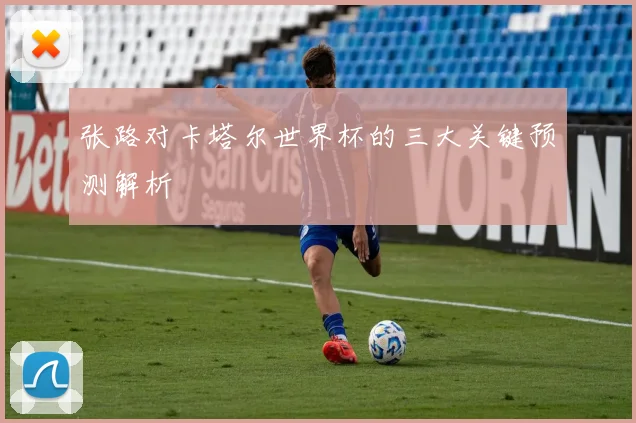 张路对卡塔尔世界杯的三大关键预测解析