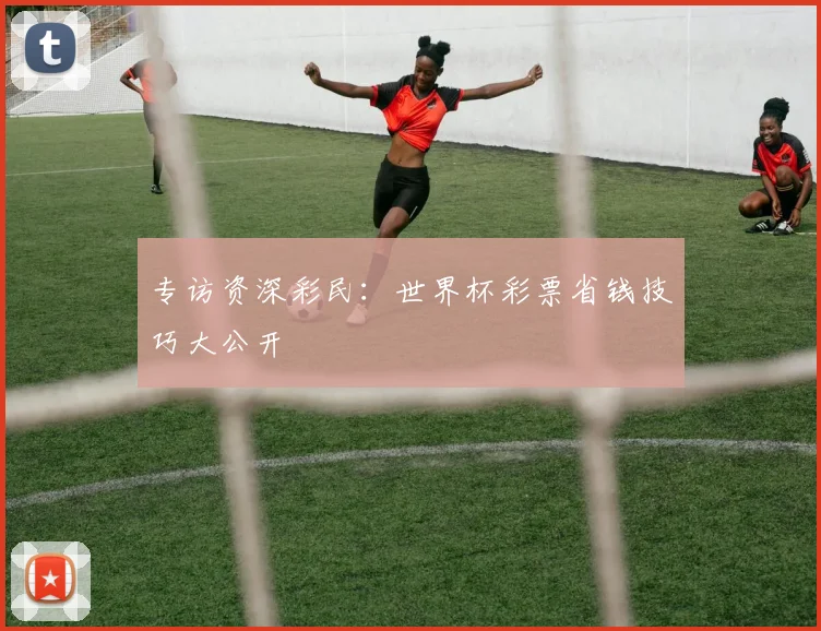专访资深彩民：世界杯彩票省钱技巧大公开