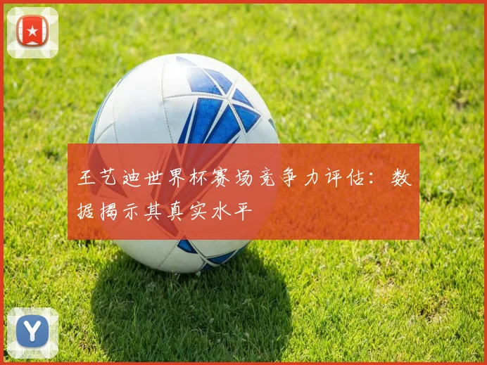 王艺迪世界杯赛场竞争力评估：数据揭示其真实水平