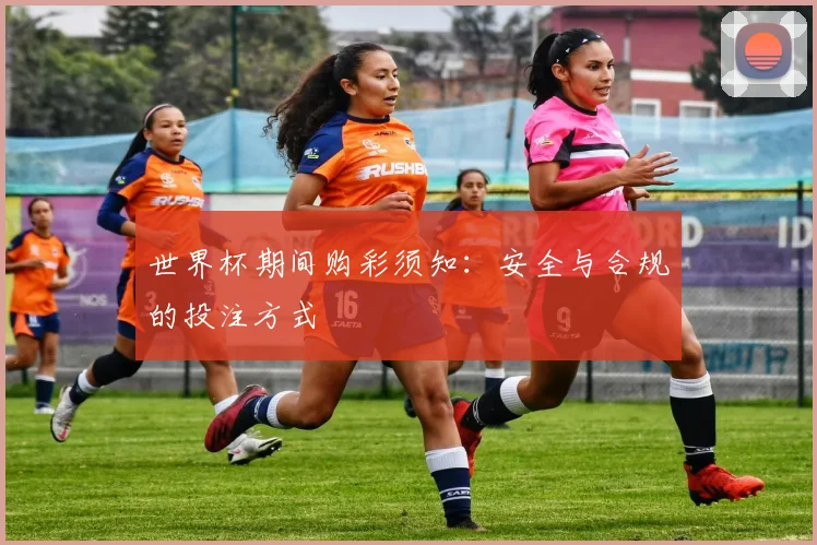 世界杯期间购彩须知：安全与合规的投注方式