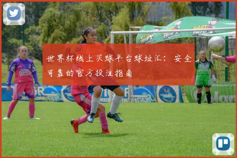 世界杯线上买球平台球址汇：安全可靠的官方投注指南