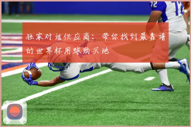 独家对话供应商：带你找到最靠谱的世界杯用球购买地