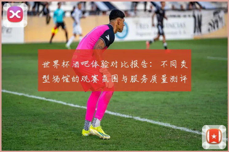 世界杯酒吧体验对比报告：不同类型场馆的观赛氛围与服务质量测评