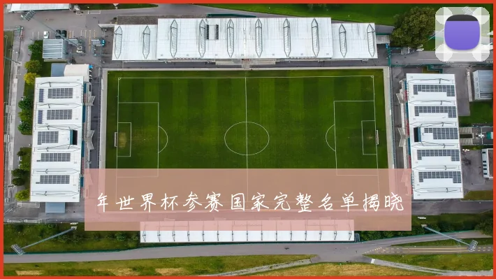 年世界杯参赛国家完整名单揭晓