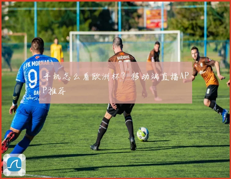 手机怎么看欧洲杯？移动端直播APP推荐