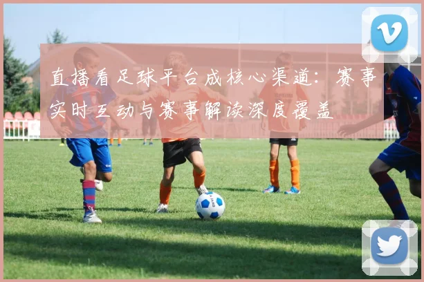 直播看足球平台成核心渠道：赛事实时互动与赛事解读深度覆盖
